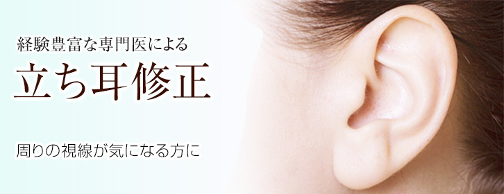 その他 へそ形成 立ち耳修正 池袋の美容外科 美容整形なら城本クリニック池袋院